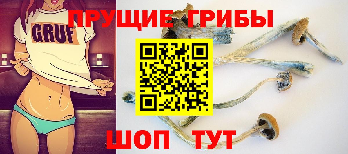 Псилоцибиновые грибы MAGIC MUSHROOMS  Вход с VPN  Керчь 