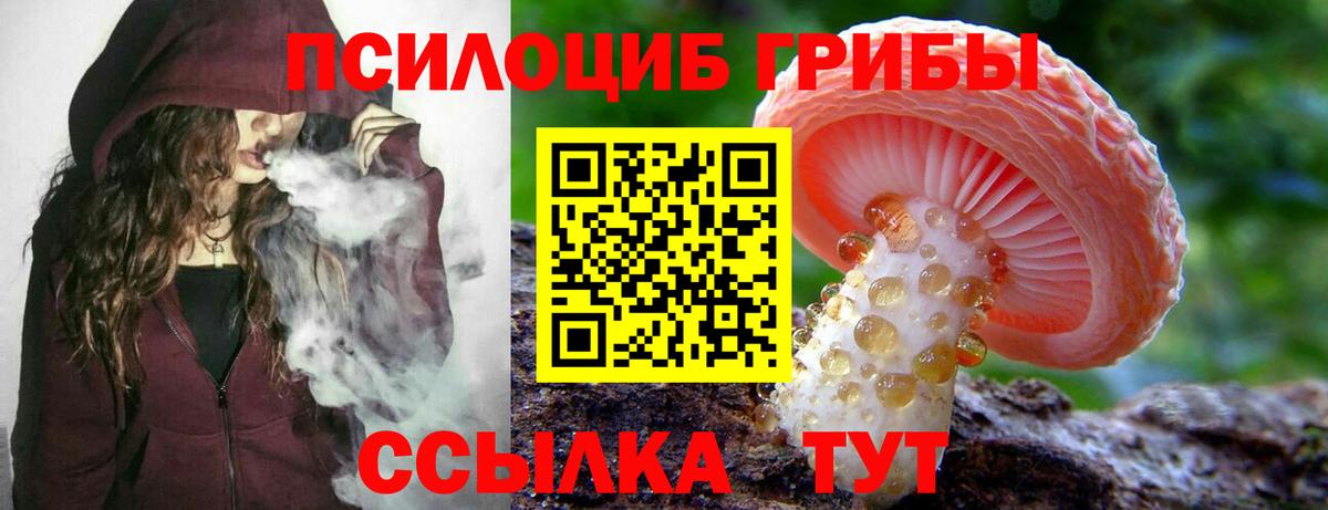 Псилоцибиновые грибы Керчь